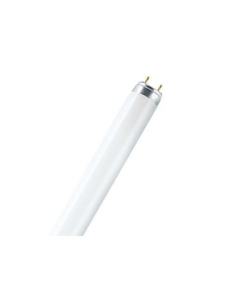 OSRAM L T8 18W 640