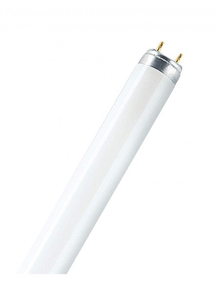 OSRAM FL T8 36W 530